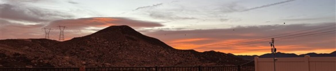 Back Yard View 2025-1